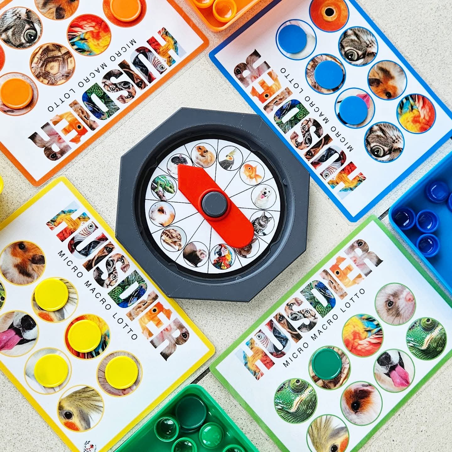 Animaux de Compagnie Micro-Macro Lotto