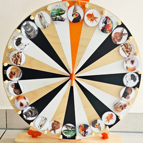 Animaux de Compagnie Micro-Macro Lotto