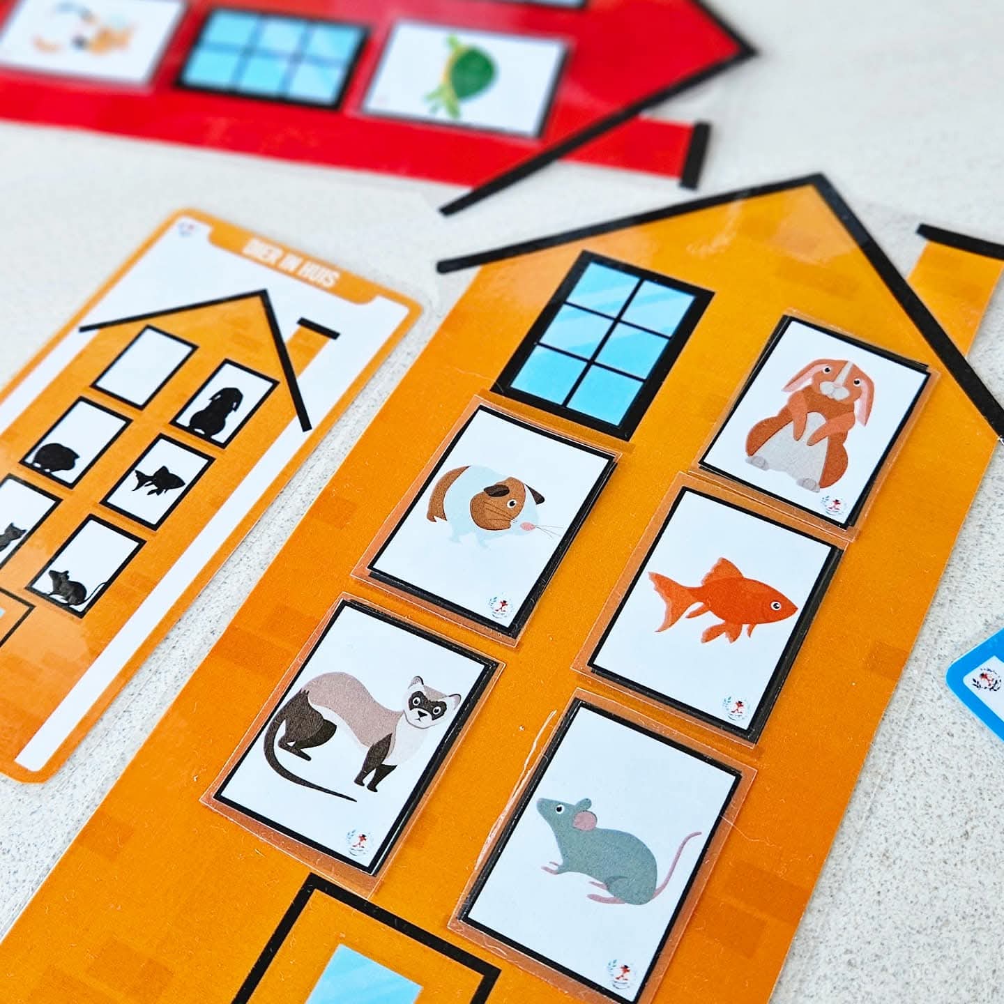 Animal Dans la Maison