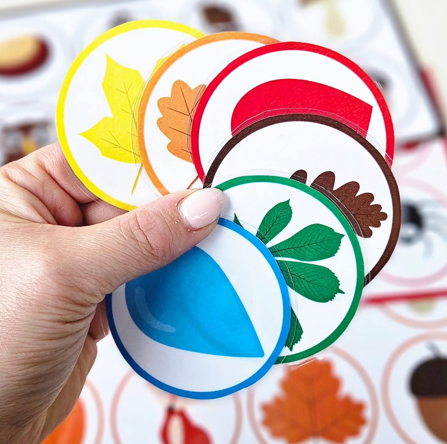 Loto des Ombre D'automne