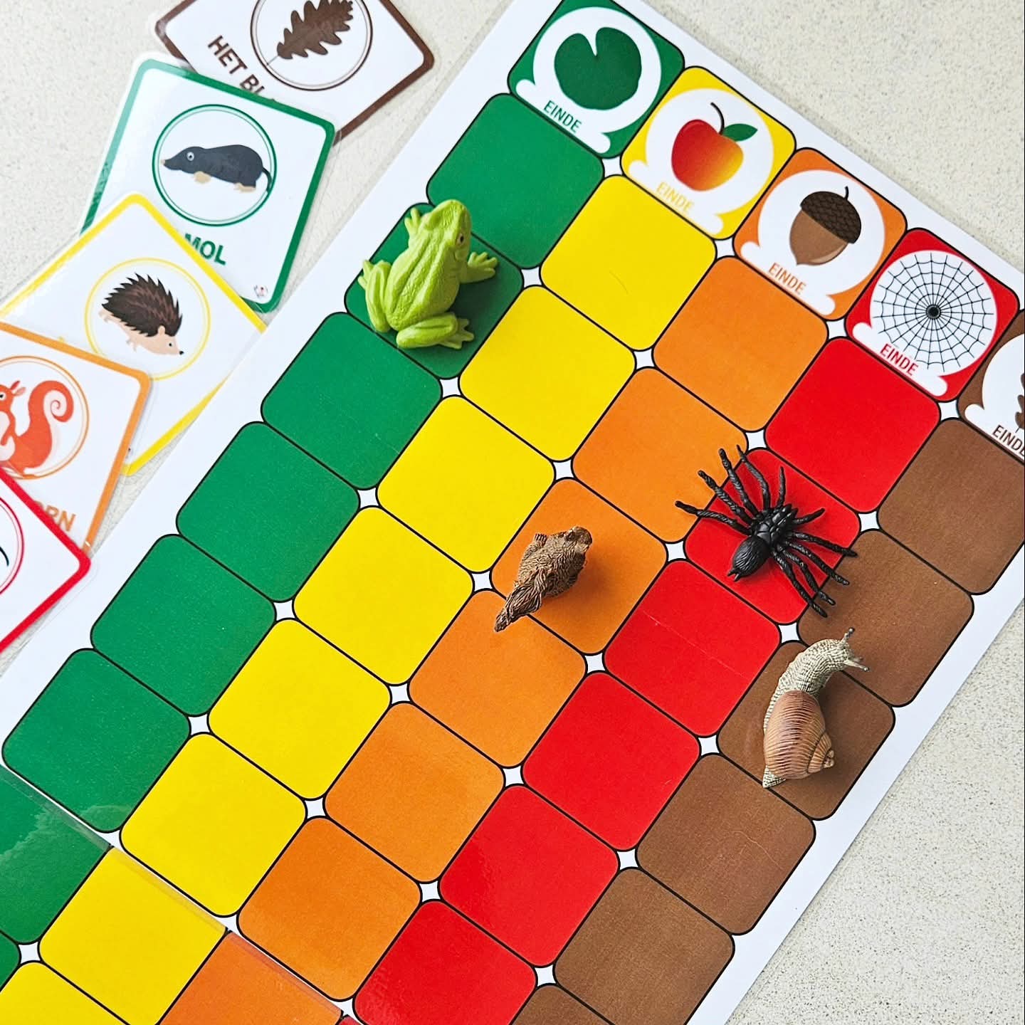 Maxi Course des Amis d'Automne