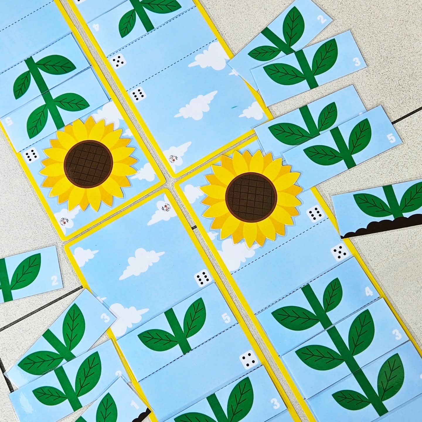 Le Pack Tournesol