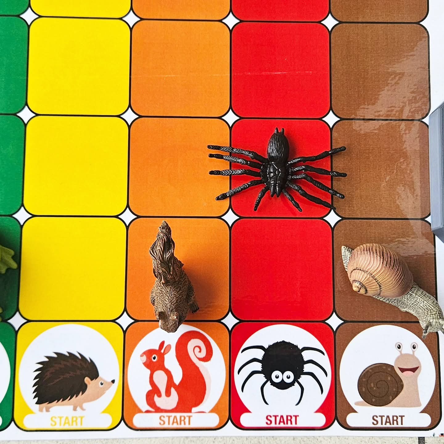 Maxi Course des Amis d'Automne