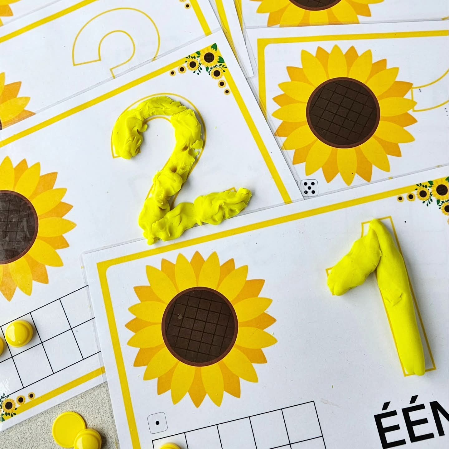 Le Pack Tournesol