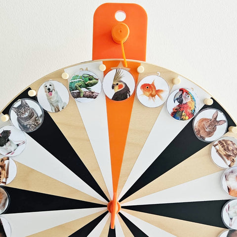 Animaux de Compagnie Micro-Macro Lotto