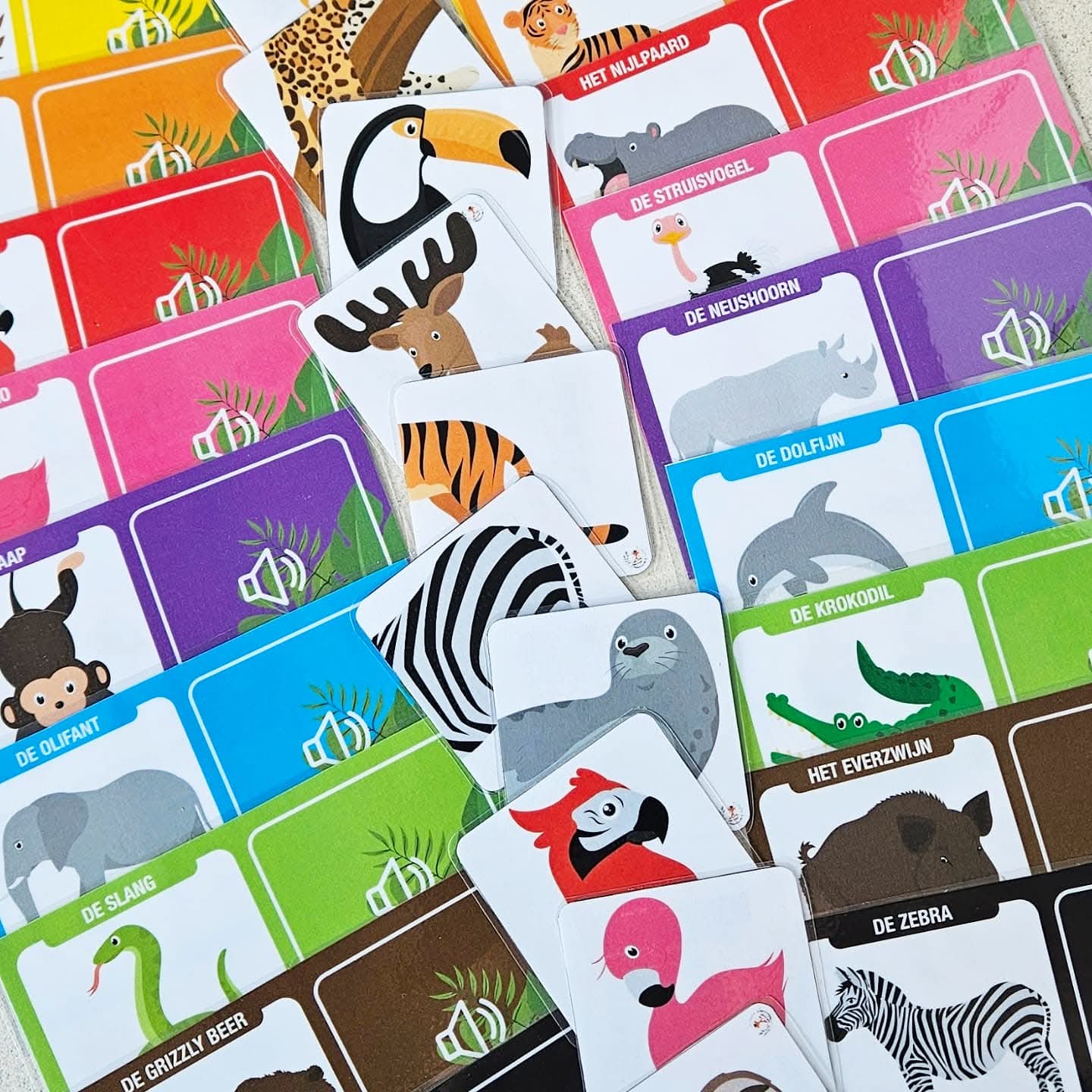 Correspondance des Sons : Animaux Sauvages