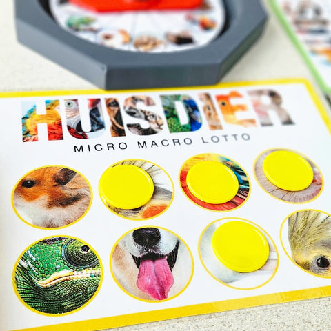 Animaux de Compagnie Micro-Macro Lotto