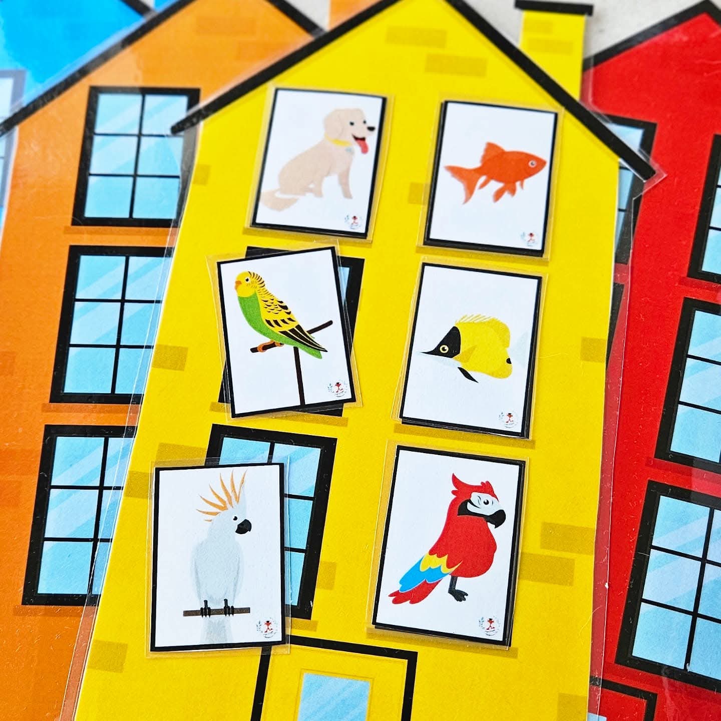 Animal Dans la Maison