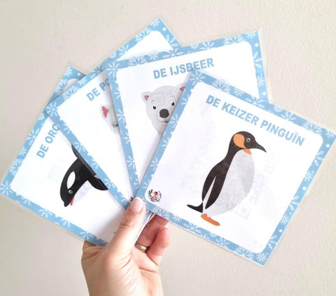 Dice QR Cards : Arctic Animals