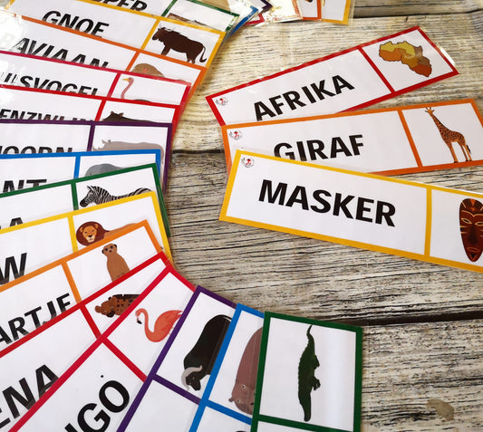 Word cards: Africa