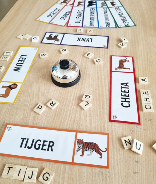 Word Cards: Wild Cats