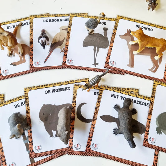 Dobbel QR Kaarten: Australische Dieren