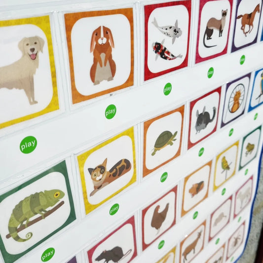 Spreekmuur: Huisdieren