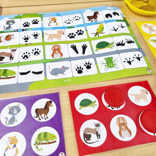 Spoor Speurder Spel Huisdieren