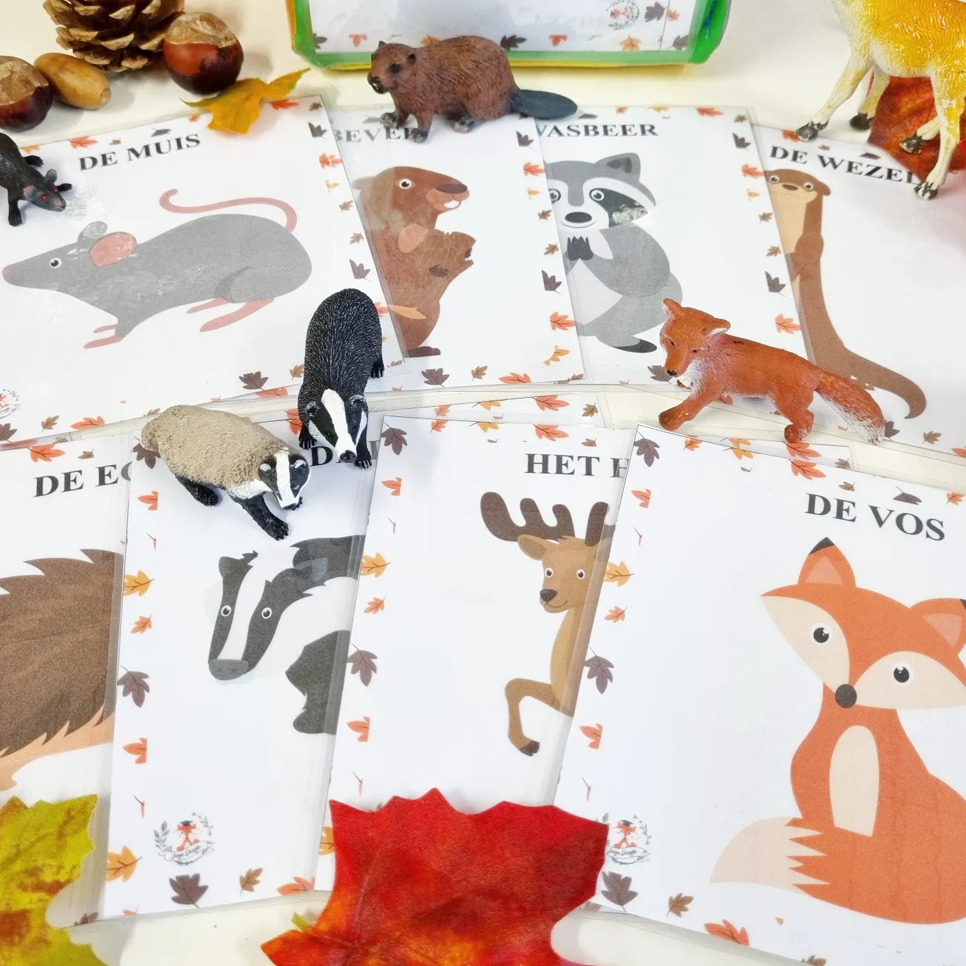 Dice QR Cards: Forest Animals