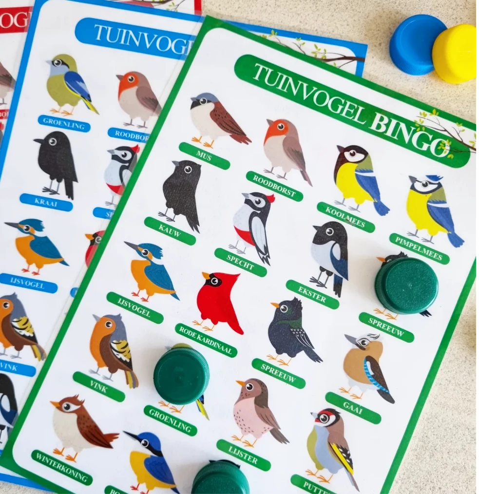Bingo Oiseaux De Jardin