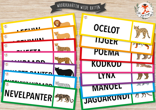 Word Cards: Wild Cats